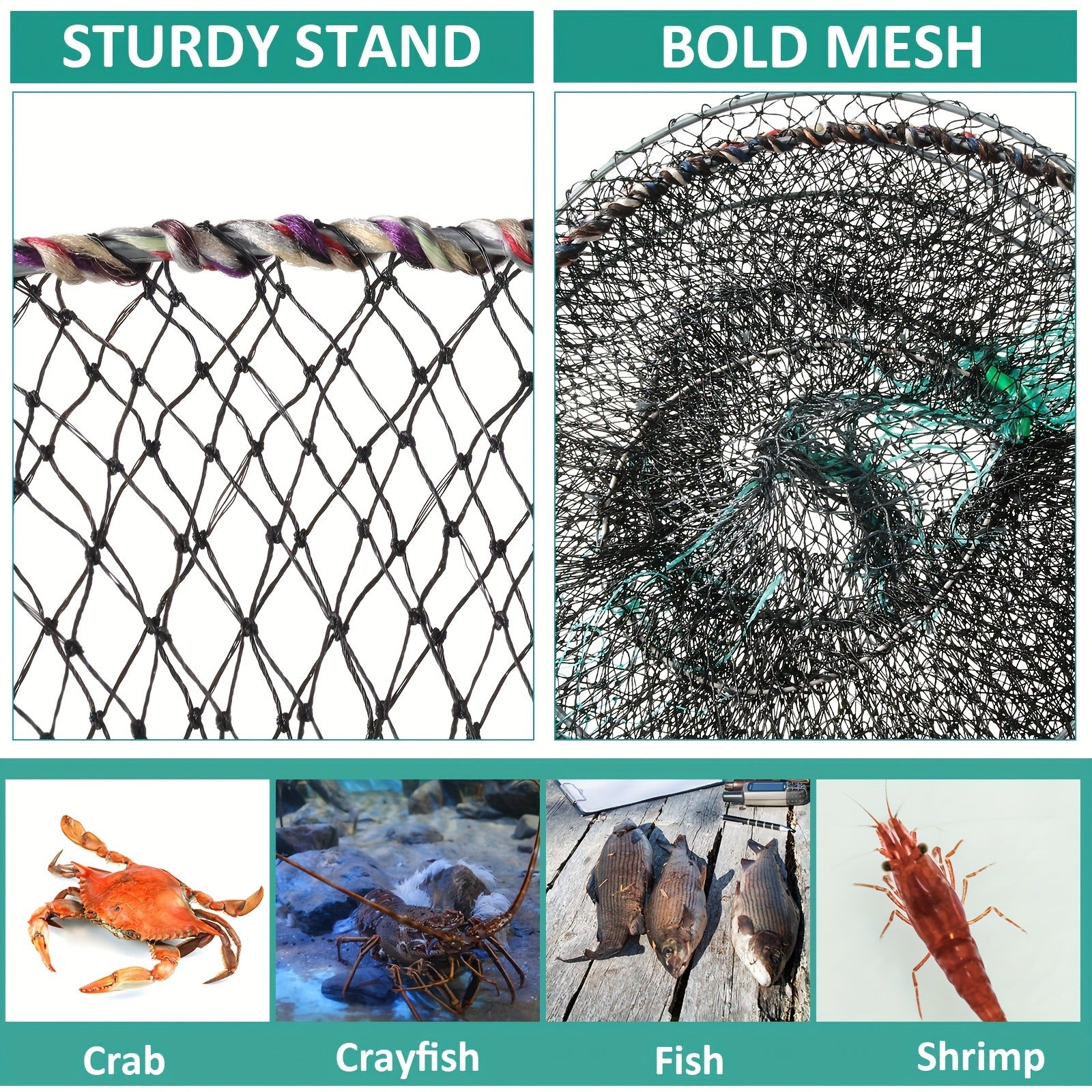 Collapsible Fishing Trap Net 4 Pack - Crab Crawfish Minnow Lobster Shrimp Bait Cage with 49ft Rope, 12x24 Inch Foldable Fish Trap, Durable PA Nylon, Portable Freshwater Saltwater Fishing Gear