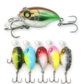 Stonefish Deep Diving Crankbait, Sinking Lure Bait, Bass Trout Fishing Lure, Saltwater Lures, Funny Fishing Lures, Fishing Tackle