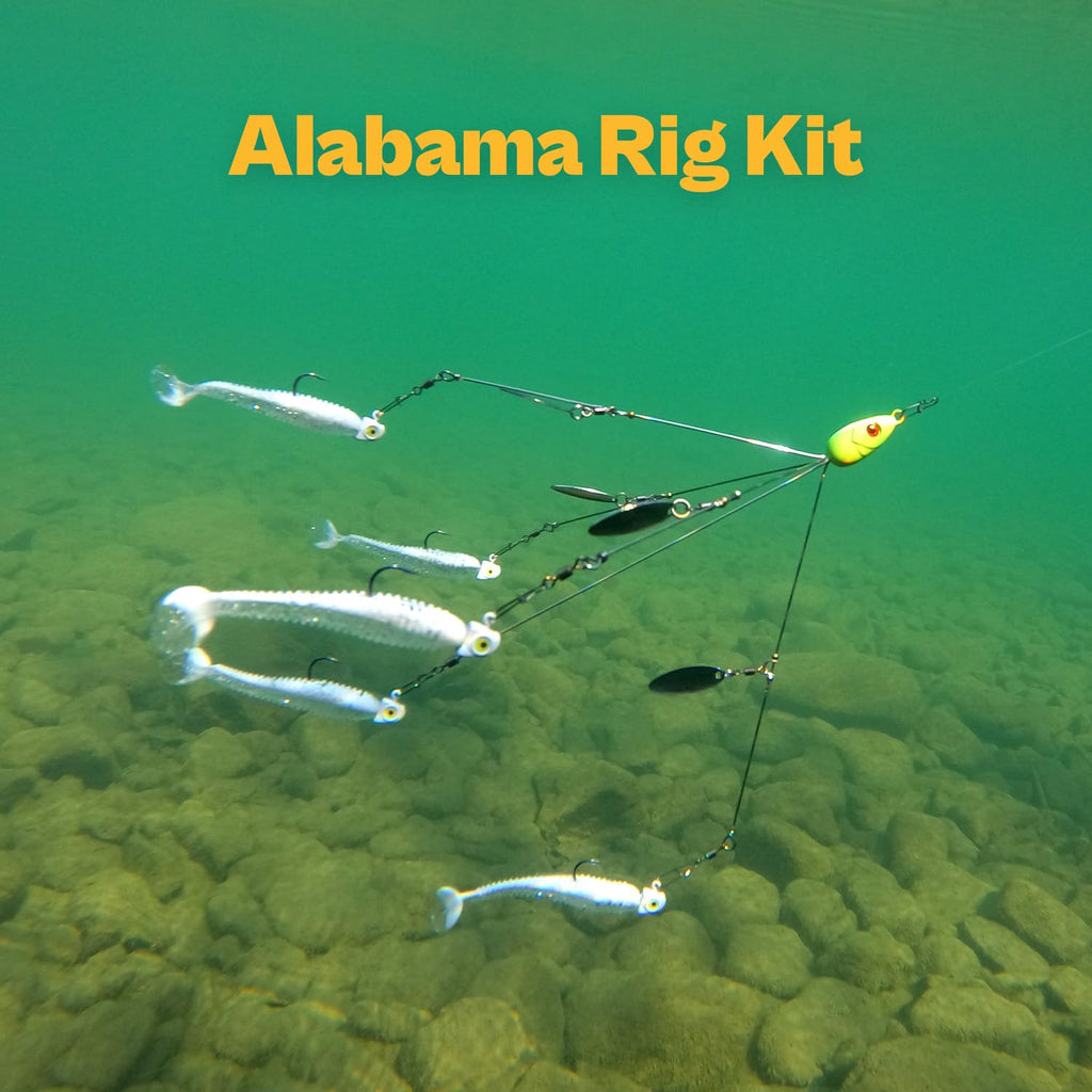 Alabama Rig (A-Rig) Fishing Lures Kit – 2 Rigs, 10 Jig Heads & Swimbaits, Tackle Box for Striper/Bass Fishing