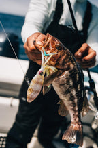 Nomad Design Squidtrex Patented Vibrating Fishing Lure- Scent Added TPE Soft Plastic Lure for Saltwater w/Strong BKK Assist Hooks, Fishing Bait that Catches Many Species, 130mm 5" 3 1/4oz- White Glow