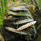 HENGJIA Multi-Segment Fish Bait Fake Fish Bait Luya Loach Bait, 1 14cm 21.4g, 2 14cm 21.4g, 3 14cm 21.4g, 4 14cm 21.4g, 5 14cm 21.4g, 6 14cm 21.4g, 7 14cm 21.4g, 8 14cm 21.4g, 9 14cm 21.4g, 10 14cm 21.4g, 11 14cm 21.4g, 12 14cm 21.4g, 13 14cm 21.4g    ...