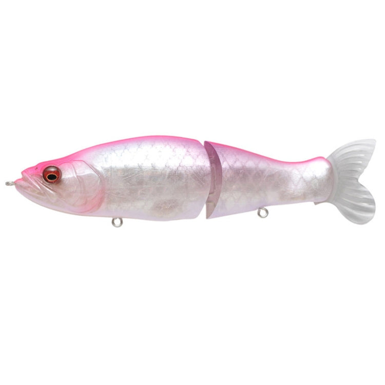 135mm Lure Bait Bionic Fishing Lures Slowly Sinking Pencil Knobby Fish Hard Bait Fishing Gear, 135mm E, 135mm P, 135mm F, 135mm Q, 135mm G, 135mm R, 135mm H, 135mm I, 135mm J, 135mm K, 135mm A, 135mm L, 135mm B, 135mm M, 135mm C, 135mm N, 135mm D, 135mm O